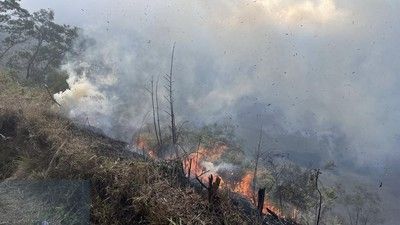 Malaysia Dibekap Kabut Asap Imbas Kebakaran Hutan di RI