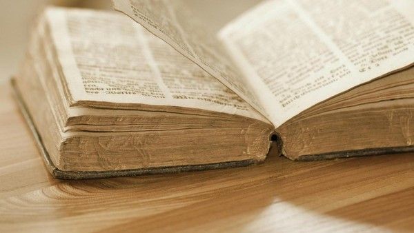 Muhammadiyah Minta Pemerintah Segera Bertindak soal Buku 'Memburu Muhammad