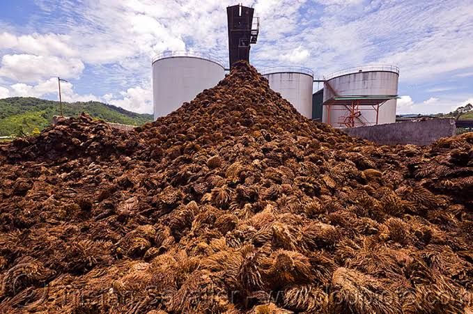 Inovasi Pertamina: Olah Limbah Tandan Kosong Sawit Jadi Bioetanol